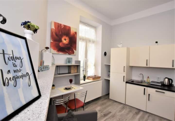 Studio w sercu miasta Przemyśl Esterno foto